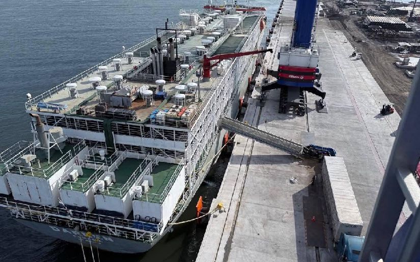 Nicaragua exporta novillos de engorde a México