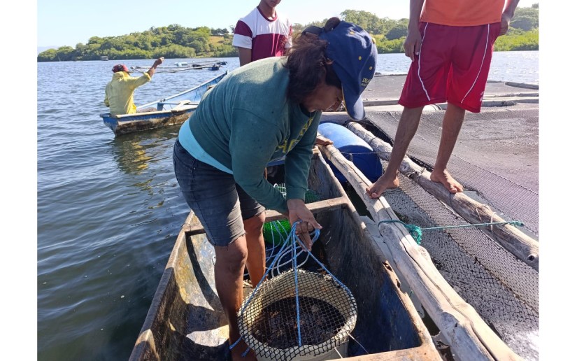 Nicaragua impulsan sostenibilidad pesquera