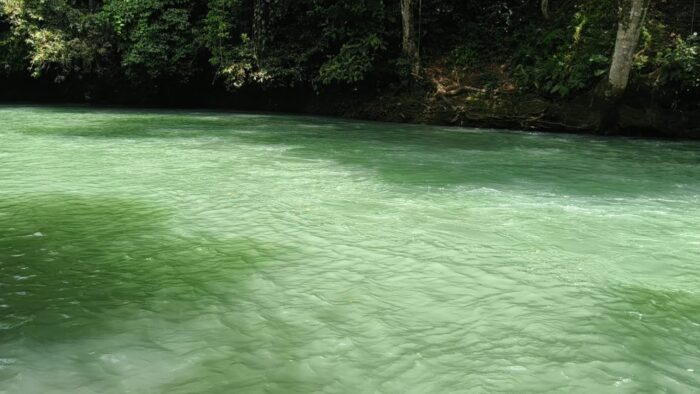 Remolino en el Río Atoyac
