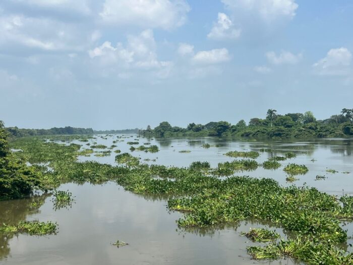 Río Atoyac