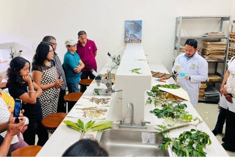 Plantas, árboles y arbustos de Nicaragua en Herbario Nacional