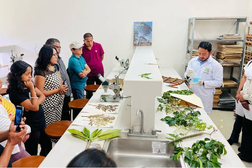 Plantas, árboles y arbustos de Nicaragua en Herbario Nacional