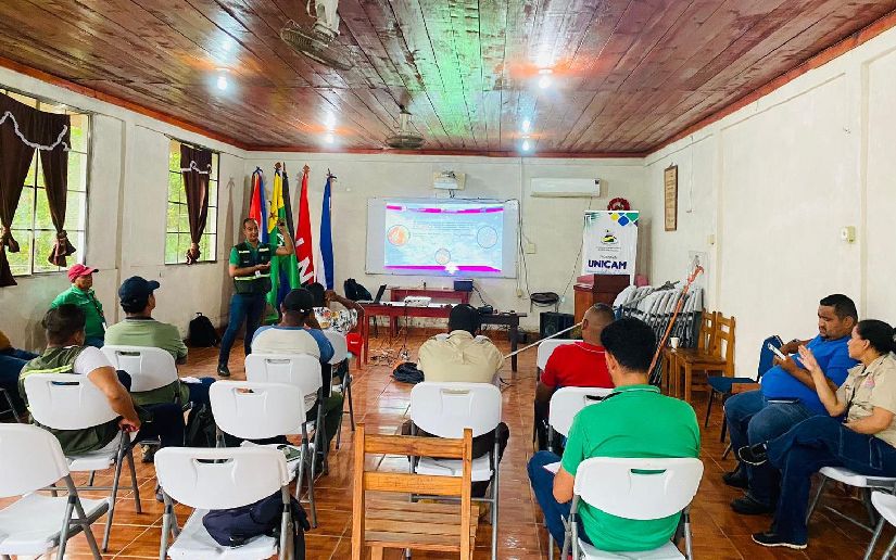 Gobierno fortalece capacidades en conservación del pino caribe