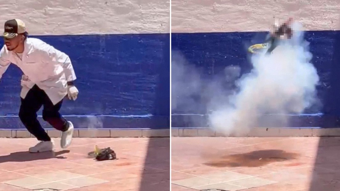 Hacen explotar a un gato con pirotecnia en México