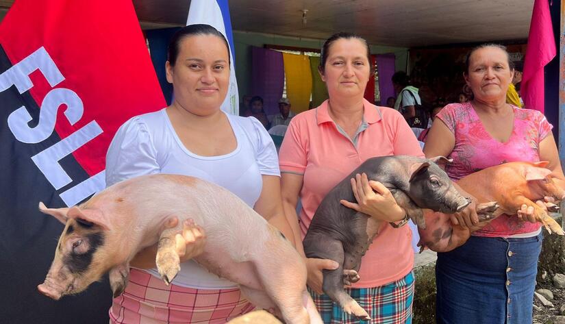 INTA desarrolla conferencia sobre innovación nutricional porcina 1