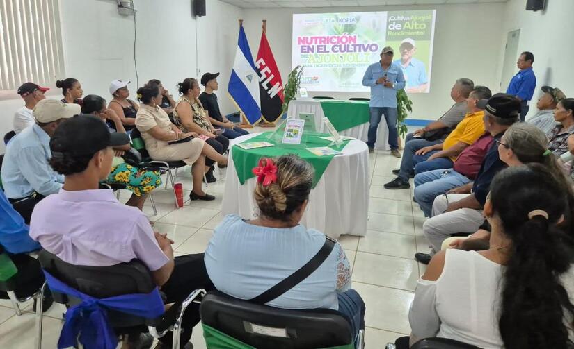 INTA preseta Cartilla Digital sobre Nutrición en el cultivo de Ajonjolí 3