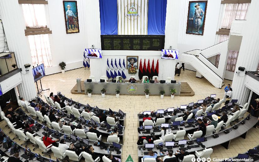 Nicaragua respalda informe sobre actos criminales de Kiev contra menores