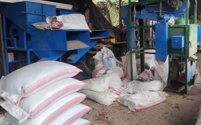Ministerio Agropecuario registra más de 483 mil quintales de frijol almacenado al mes de julio 2025