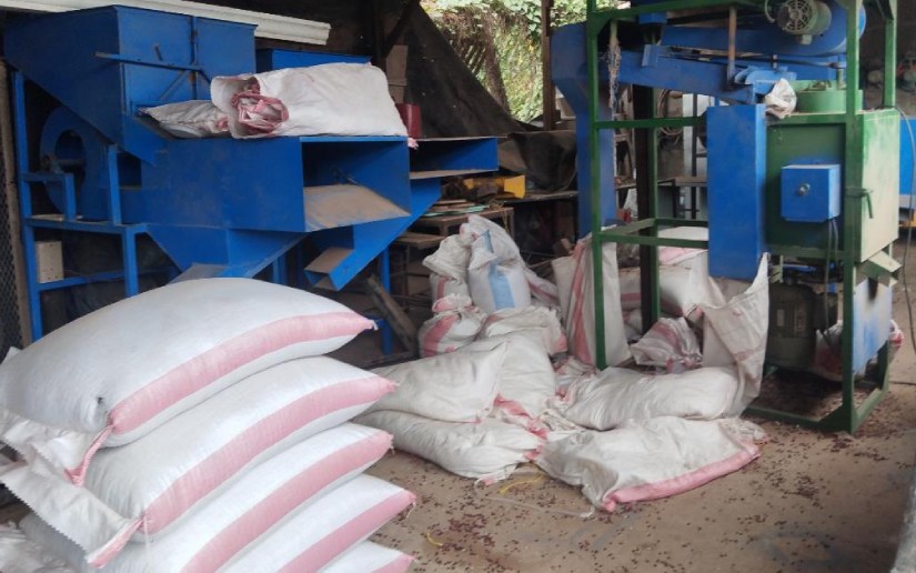 Ministerio Agropecuario registra más de 483 mil quintales de frijol almacenado al mes de julio 2025