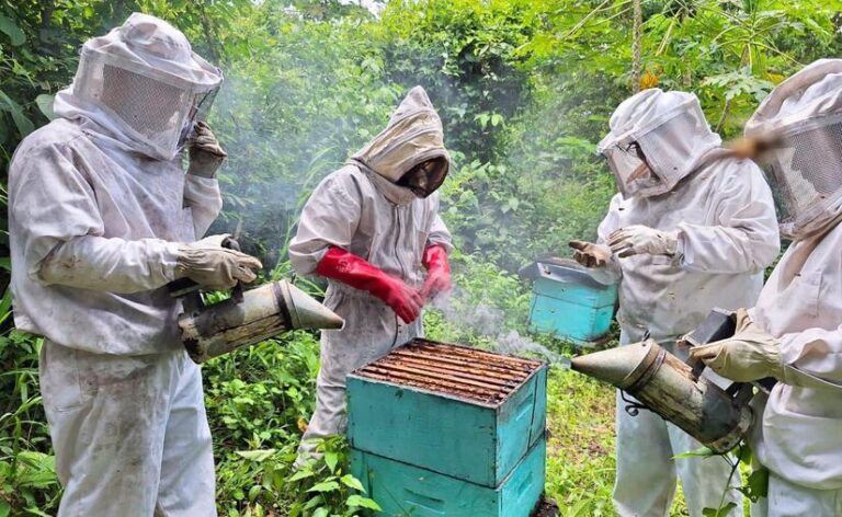 Gobierno Sandinista impulsa producción apícola con encuentro técnico en Camoapa