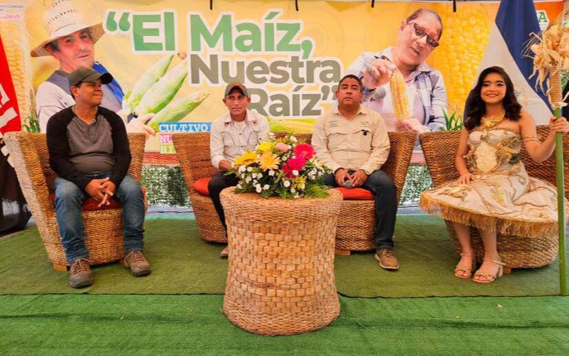 INTA desarrolla Festival Nacional “El Maíz, Nuestra Raíz” 