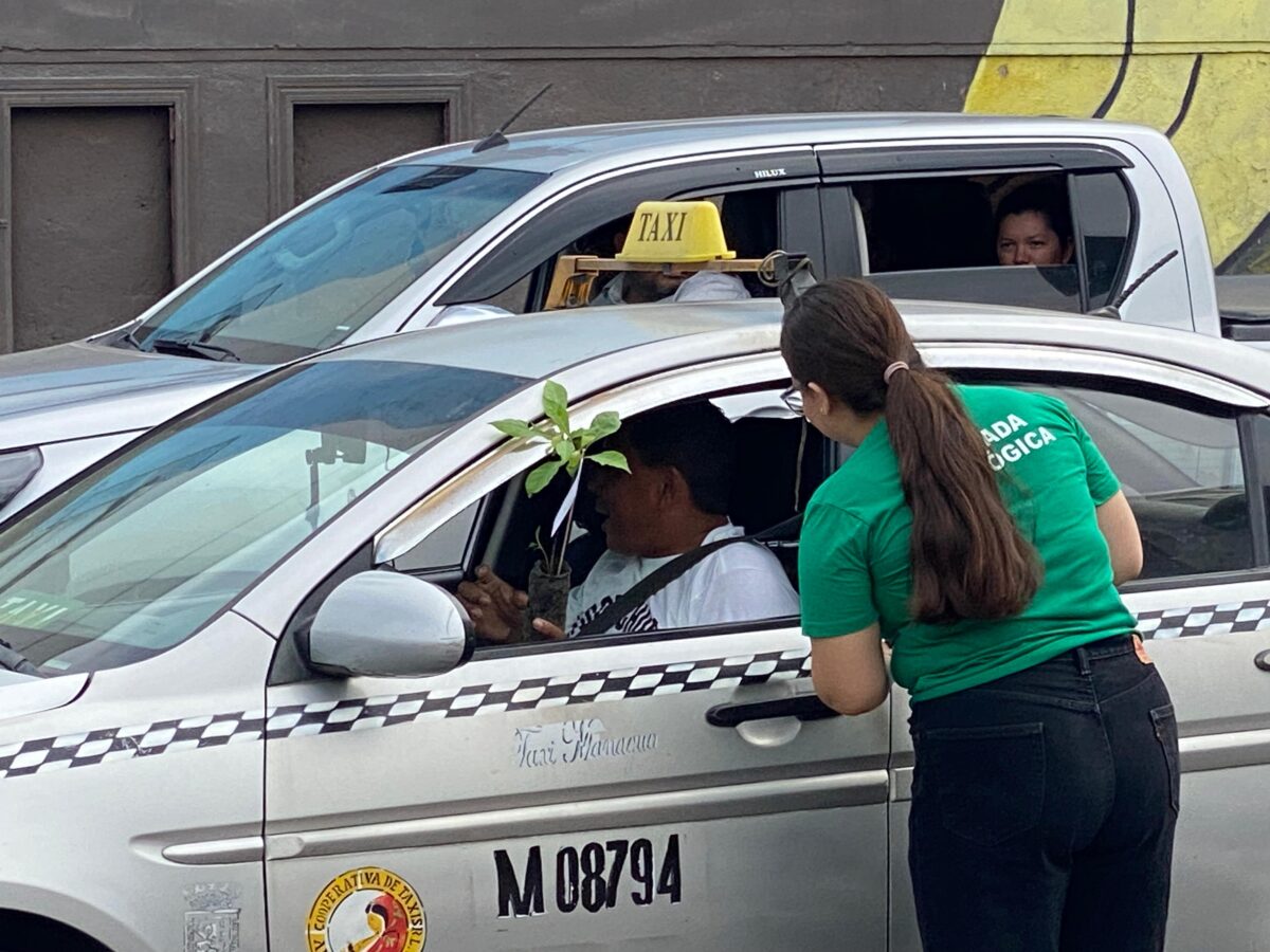 Juventud protagoniza una jornada de adopción de árboles