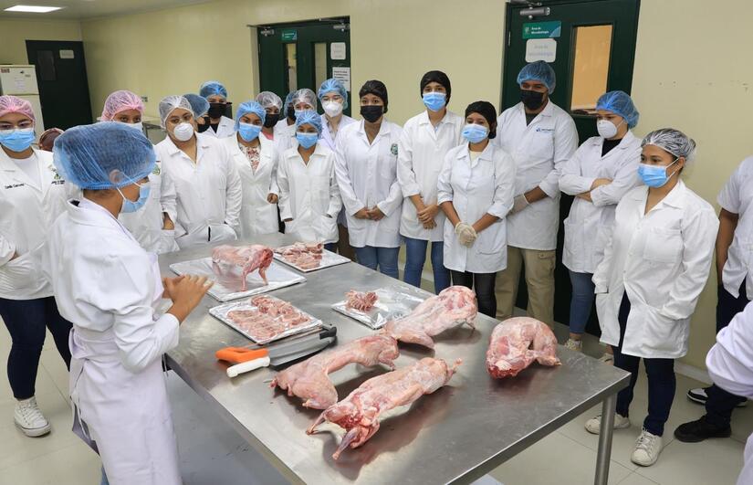 Nueva Escuela de Procesamiento Cárnico y Derivados