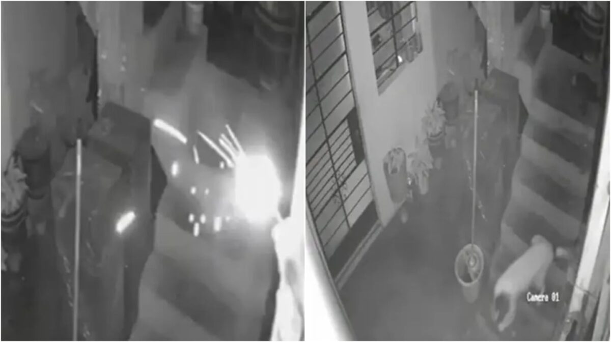 Perrita salva a familia ante una dinamita lanzada a su vivienda