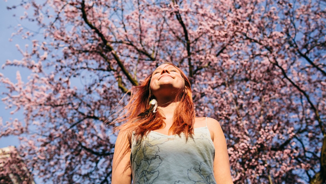 Vitamina D retrasa el envejecimiento