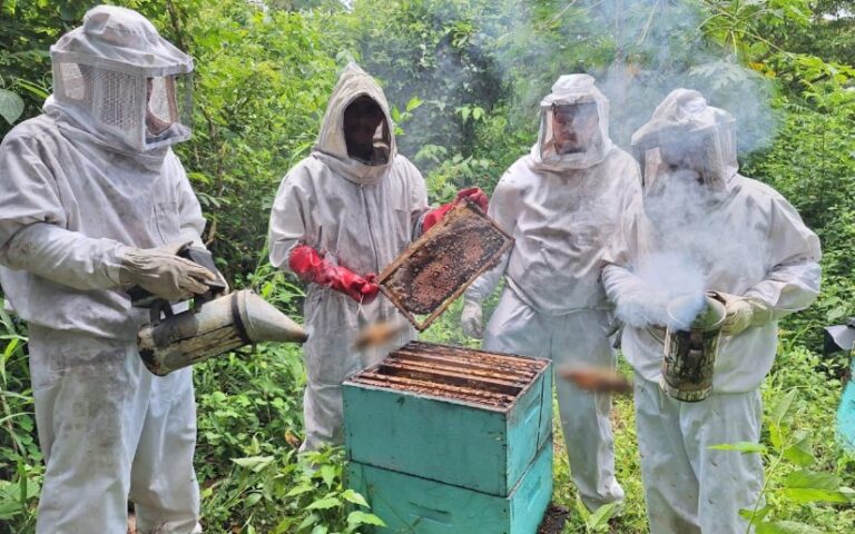 Encuentro fortalece conocimientos sobre manejo de reservas de alimentos para abejas en Camoapa