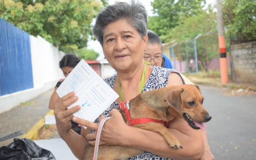 Concluye en Nicaragua Campaña de Vacunación Antirrábica Canina 