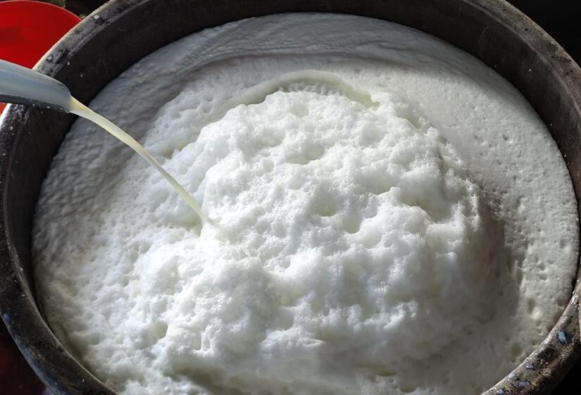 El MAG reporta que, hasta julio de 2025, la producción de leche en finca llegó a 218.4 millones de galones, de los cuales 108.2 millones.