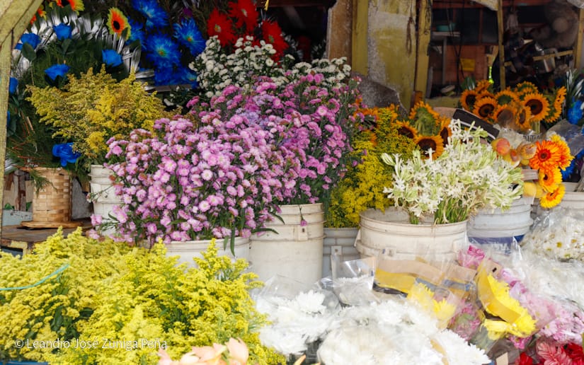 Comerciantes con variedad de flores para el 2 de noviembre