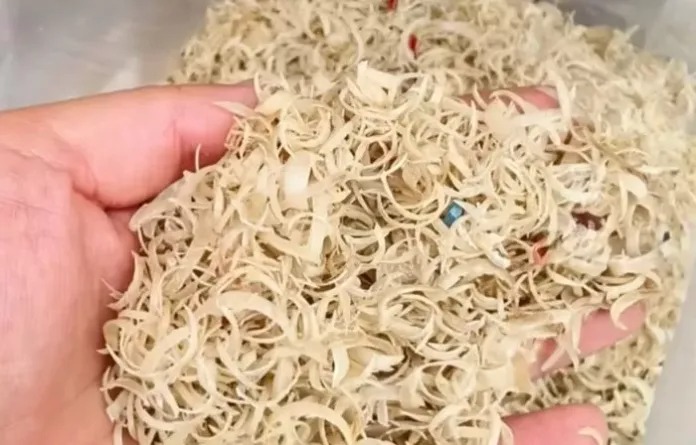 Compran en China desechos de uñas humanas
