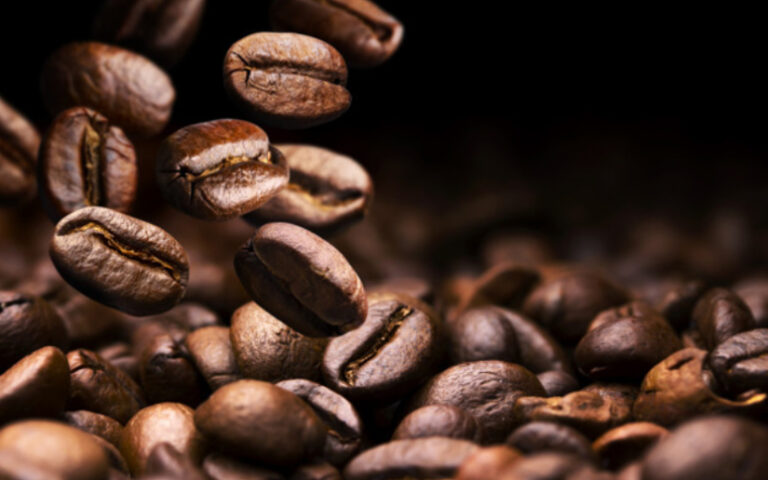 IV Edición de la Feria Expocafé Especial en Ocotal, Nueva Segovia