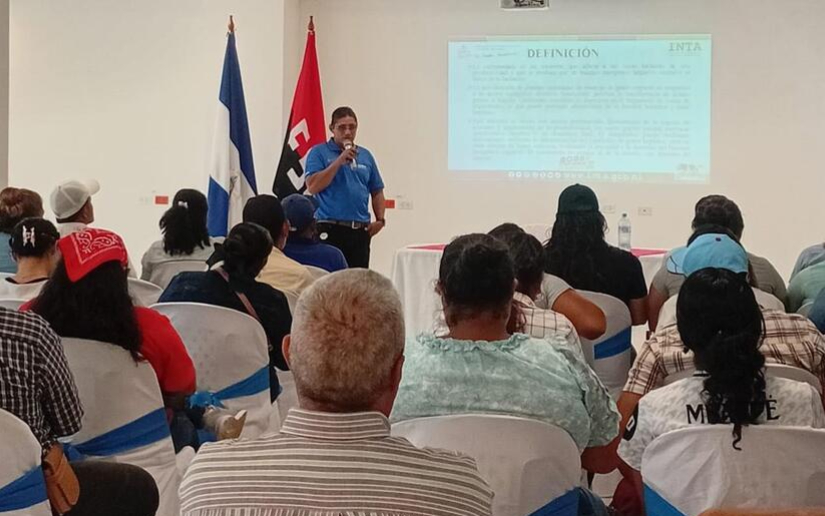 El INTA desarrolló una conferencia sobre el Manejo de la vaca caída después del parto, en el Auditorio María Castil, con la participación de productores de Managua, Rivas y Carazo de manera presencial y virtual a través de los telecentros. Esta enfermedad es causada por un desorden fisiológico que daña la salud, el bienestar y la producción de leche en reproductoras. Dentro de los síntomas se presenta: debilidad muscular, fiebres altas, temblores, pérdida de apetito y disminución de leche hasta secado temporal. Organizan acciones previas al IV y último Ejercicio Nacional de protección a la vida 2025 El INTA recomendó a los productores que suministren una buena alimentación nutritiva con pastos fibrosos, aplicación de soluciones de glucosa al 5% vía intravenosa, vitaminas a base de complejo B, fisioterapia, sales minerales.