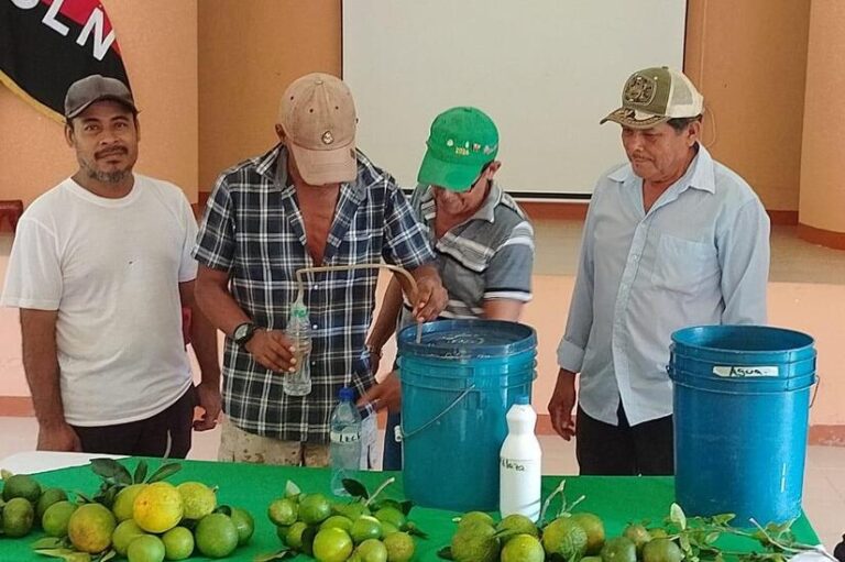 INTA promueve biofertilizante que mejora producción de frutales