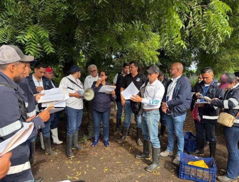 IPSA fortalece protección fitosanitaria con primer Taller Nacional sobre Manejo de Roedores