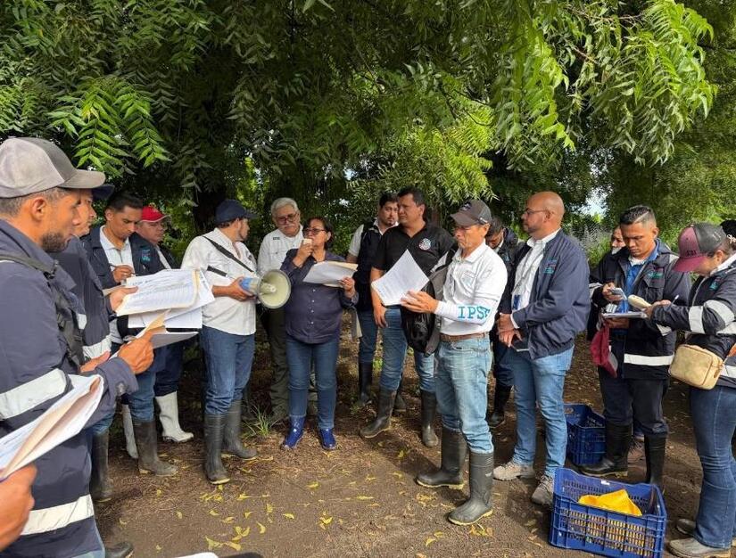 IPSA fortalece protección fitosanitaria con primer Taller Nacional sobre Manejo de Roedores 1