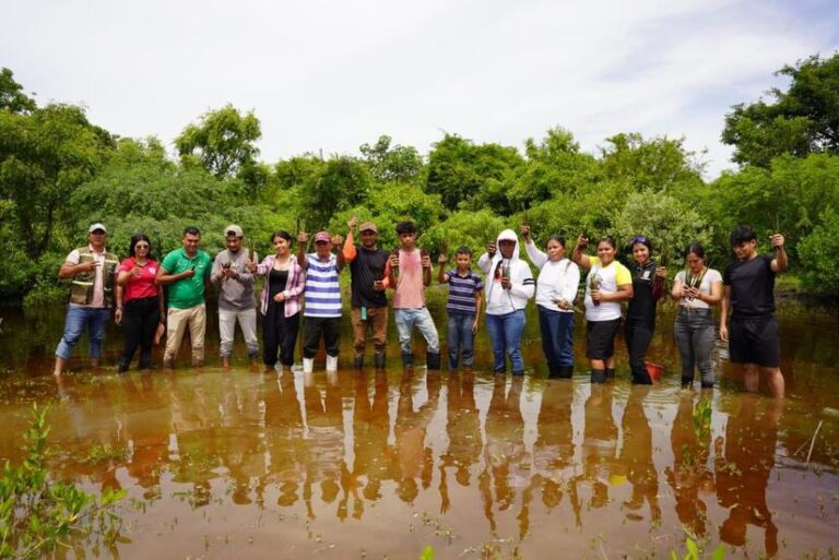 Marena siembra mangle para proteger ecosistemas costeros en León y Chinandega