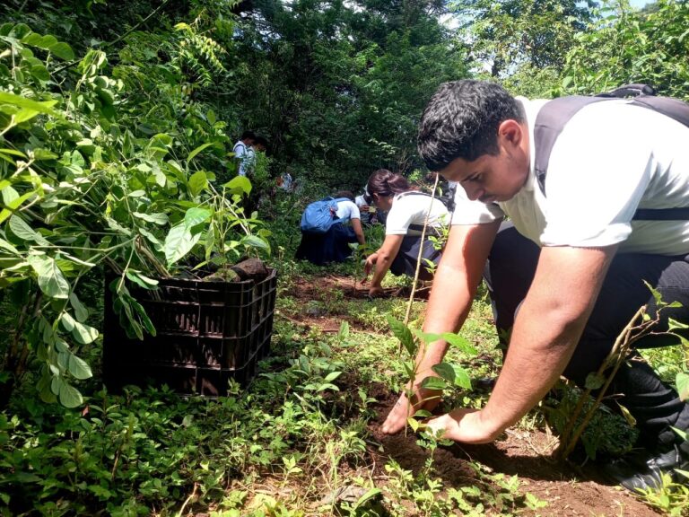 MARENA impulsa reforestación en León con más de 280 mil plantas sembradas