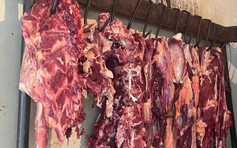 Ministerio Agropecuario reporta producción de 304.4 millones de libras de carne bovina en Nicaragua