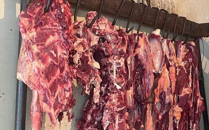 Ministerio Agropecuario reporta producción de 304.4 millones de libras de carne bovina en Nicaragua