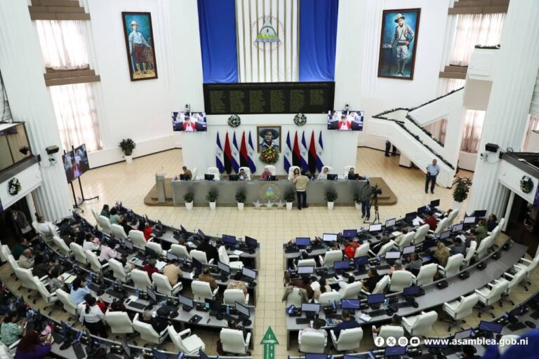 Asamblea Nacional reconoce labor de los artesanos