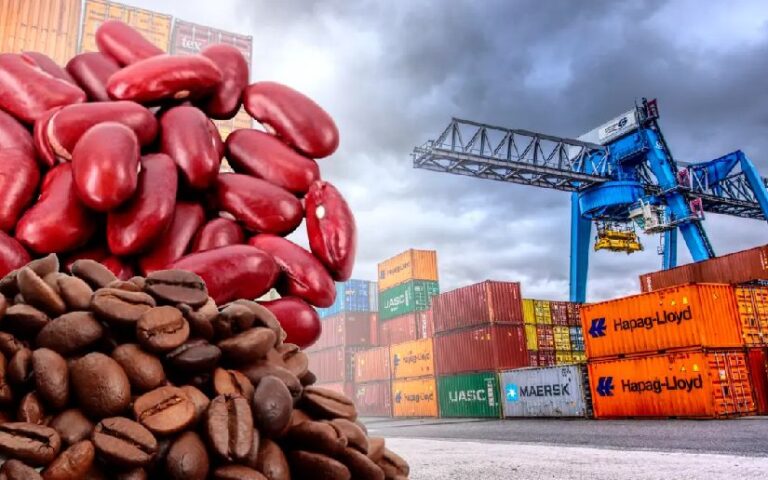BCN: exportaciones nicaragüenses crecen 22.4% en el tercer trimestre de 2025