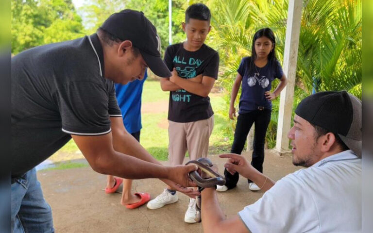 Con el propósito de promover la conservación de la fauna silvestre, el Ministerio del Ambiente y de los Recursos Naturales (MARENA), a través del Parque Zoológico Nacional, ha desarrollado durante el año 2025 un total de 17 actividades con el lema “El Zoológico en tu comunidad” en los departamentos de Managua, Granada y Rivas.