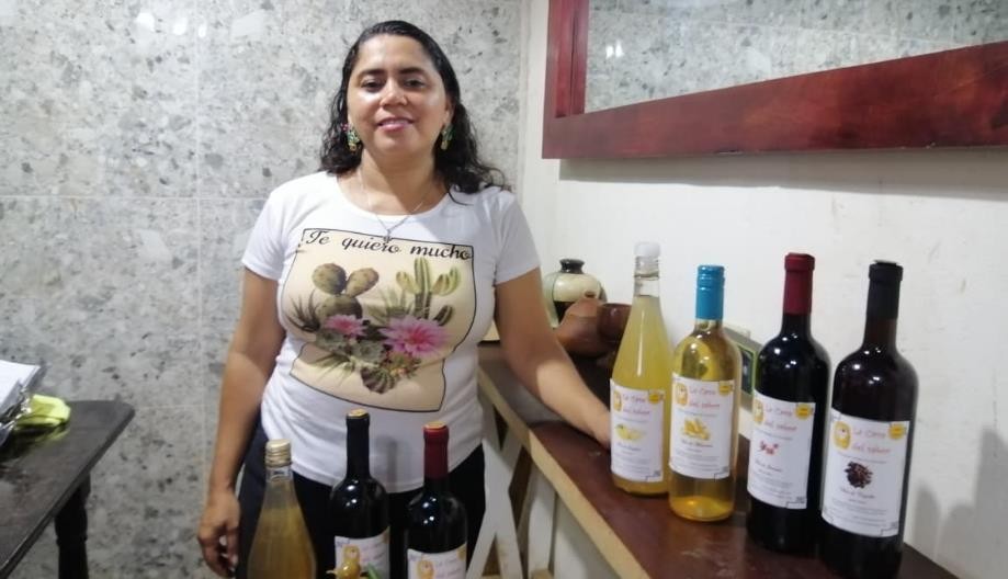Ministerio impulsa innovación en vinos artesanales con uso de aditivos naturales