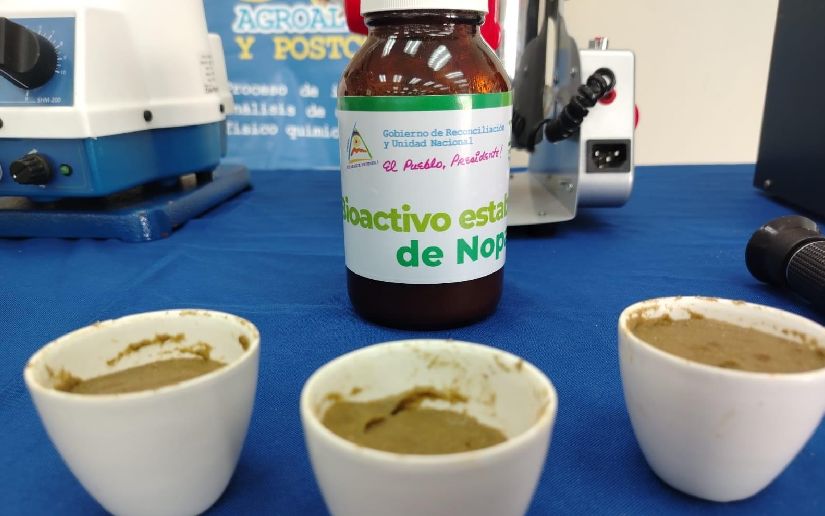 INTA presenta extracto de nopal como estabilizador para alimentos agroindustriales