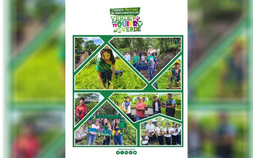 MARENA impulsa reforestación en Chontales con más de 577 mil plantas producidas en 2025