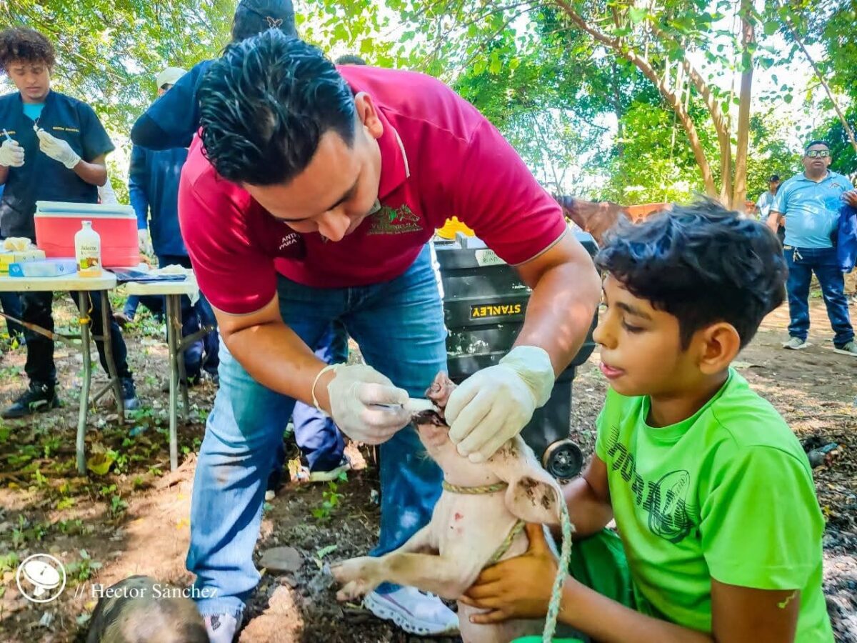 Más de 700 familias asistieron a las Jornadas de Salud Animal #MiMascotaMiAmigo, organizadas por el Movimiento Ambientalista Guardabarranco, junto a estudiantes de Medicina Veterinaria de la UNAN-León y UCC.