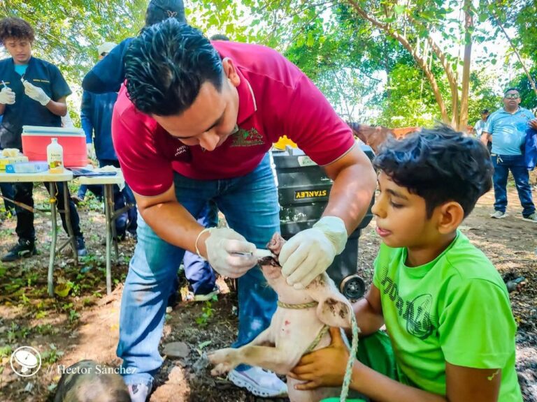 Más de 700 familias asistieron a las Jornadas de Salud Animal #MiMascotaMiAmigo, organizadas por el Movimiento Ambientalista Guardabarranco, junto a estudiantes de Medicina Veterinaria de la UNAN-León y UCC.