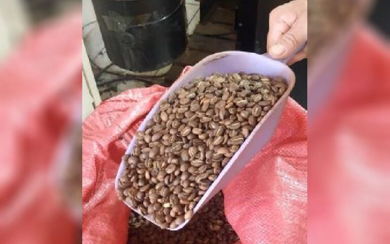 Nicaragua produce 1.7 millones de libras de Café Tostado