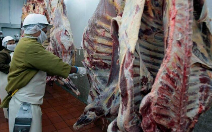 Nicaragua produce 342.6 millones de libras de carne bovina1