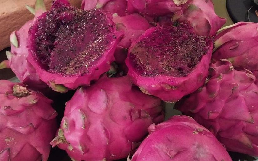 Nicaragua produce 5.5 millones de kilogramos de pitahaya