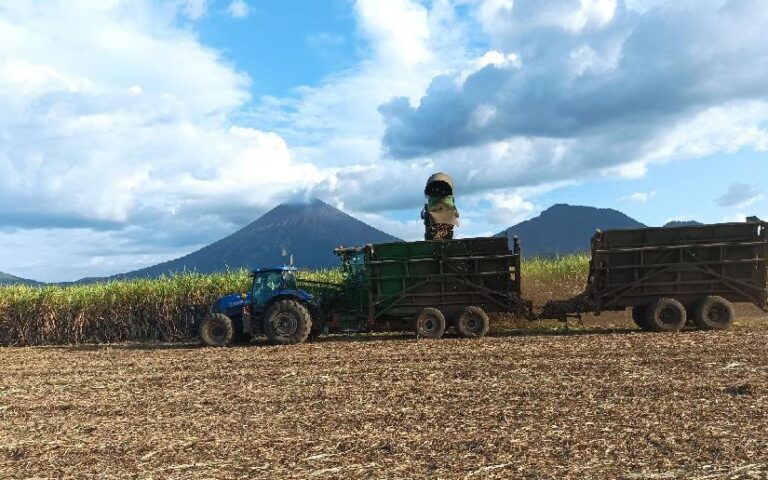 Nicaragua inicia la zafra 2025-2026 con proyección de 17.1 millones de quintales de azúcar, según el MAG