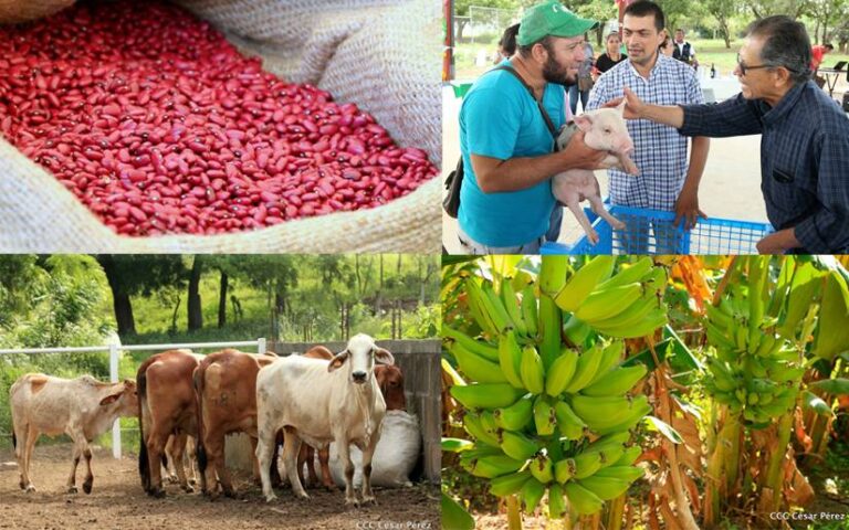 Avance del Plan Nacional de Producción, Consumo y Comercio reporta crecimiento económico del 3%