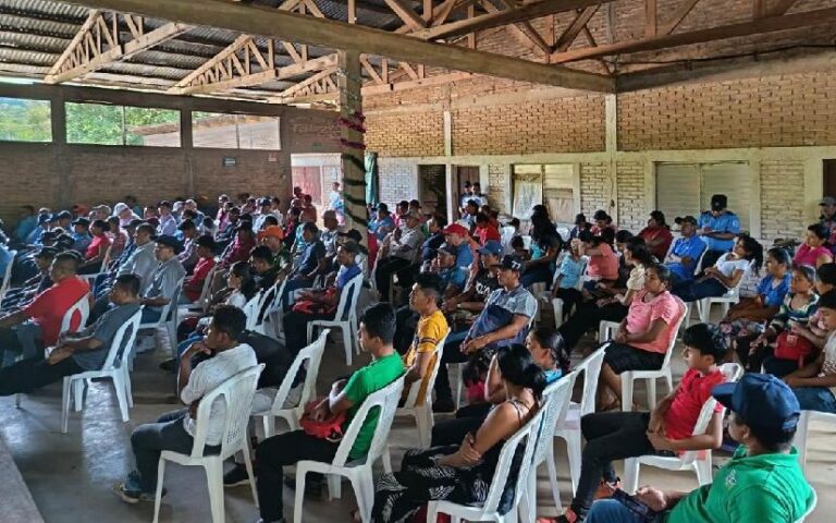 Productores trabajan en garantizar el éxito en la cosecha cafetalera