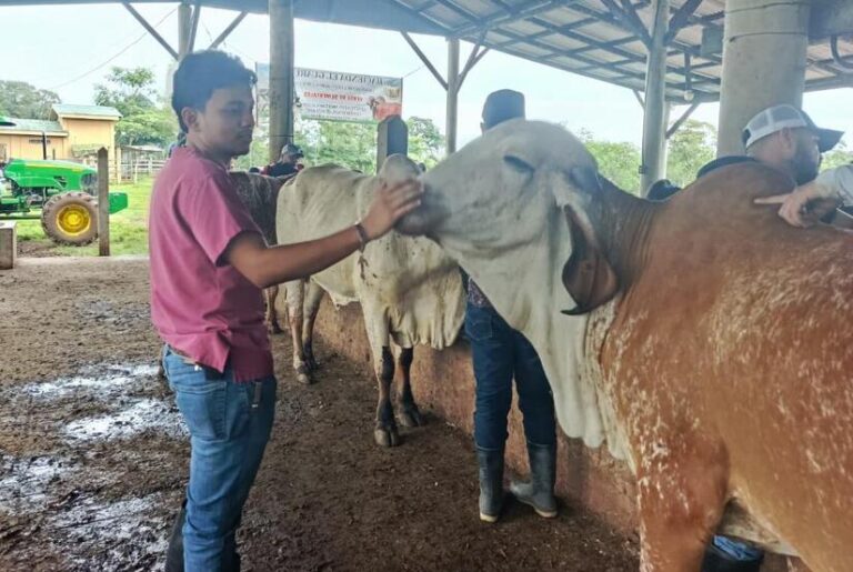 Protagonistas del norte cursan carrera de veterinaria y agronomía