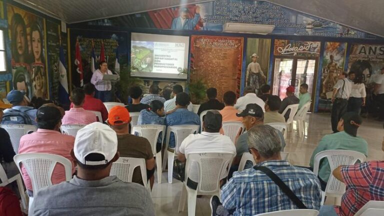 Reconocen labor de 431 productores que impulsan la economía y la seguridad alimentaria