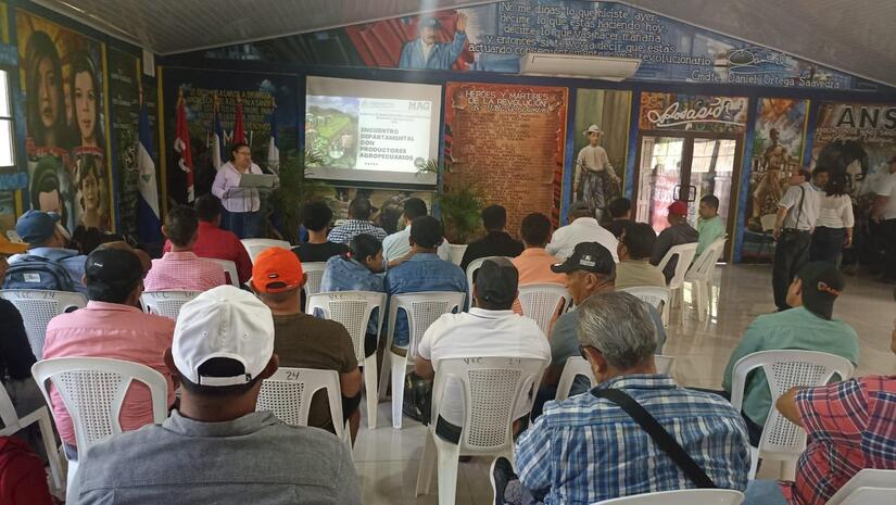 Reconocen labor de 431 productores que impulsan la economía y la seguridad alimentaria